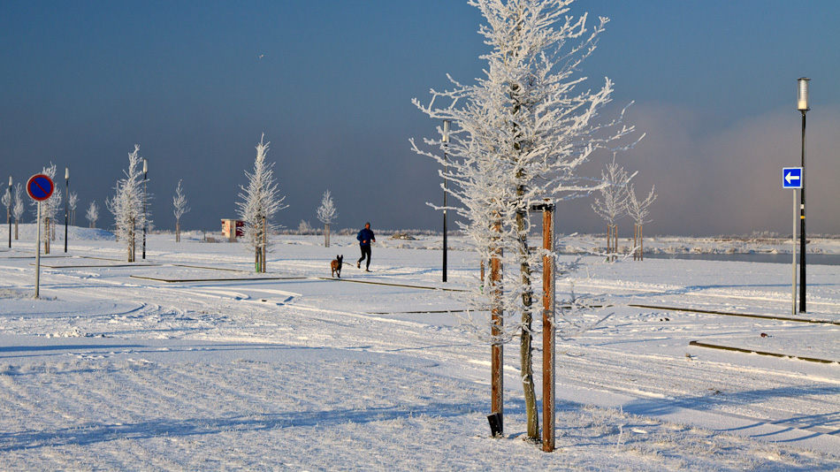 Winter in Nesselande, 4 februari 2012