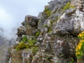 In de wolken | Tafelberg, Kaapstad, Zuid-Afrika, 3 december 2018I