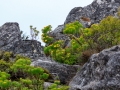 In de wolken | Tafelberg, Kaapstad, Zuid-Afrika, 3 december 2018