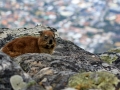 Uitzicht op Kaapstad | Tafelberg, Kaapstad, Zuid-Afrika, 3 december 2018