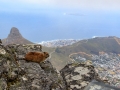 Uitzicht op Kaapstad | Tafelberg, Kaapstad, Zuid-Afrika, 3 december 2018