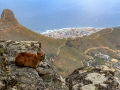 Uitzicht op Kaapstad | Tafelberg, Kaapstad, Zuid-Afrika, 3 december 2018