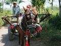 bali-0051
