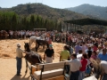 Feria de la Mula | Arenas, Spanje | 12 oktober 2009