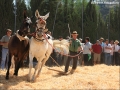 Feria de la Mula | Arenas, Spanje | 12 oktober 2009