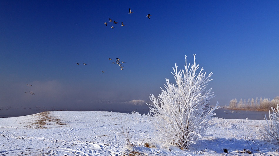 Winter in Nesselande, 4 februari 2012