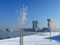 Winter in Nesselande, 4 februari 2012