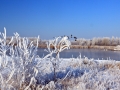Winter in Nesselande, 4 februari 2012