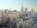 Winter in Nesselande, 4 februari 2012