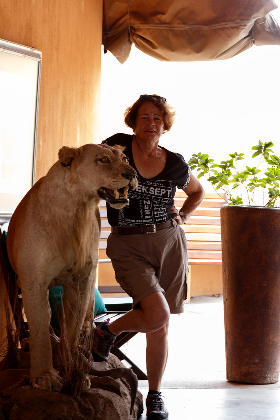 Sonja, hoe gevaarlijk, met leeuw | Phalaborwa, Silonque Bush Estate – 27 november 2014