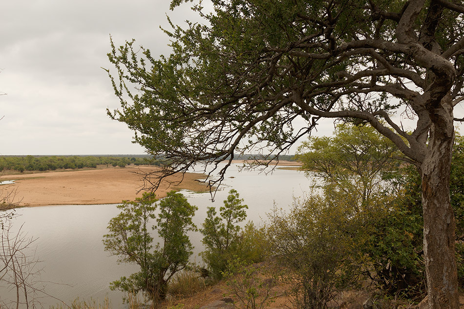 Uitzicht Timbivati | Krugerpark, Satara restcamp – 22 november 2014