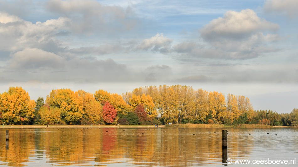Herfstbeelden Zevenhuizerplas, Nesselande | 30 oktober 2016