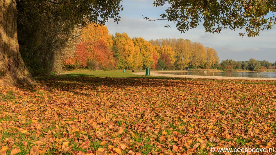 Herfstbeelden Zevenhuizerplas, Nesselande | 30 oktober 2016