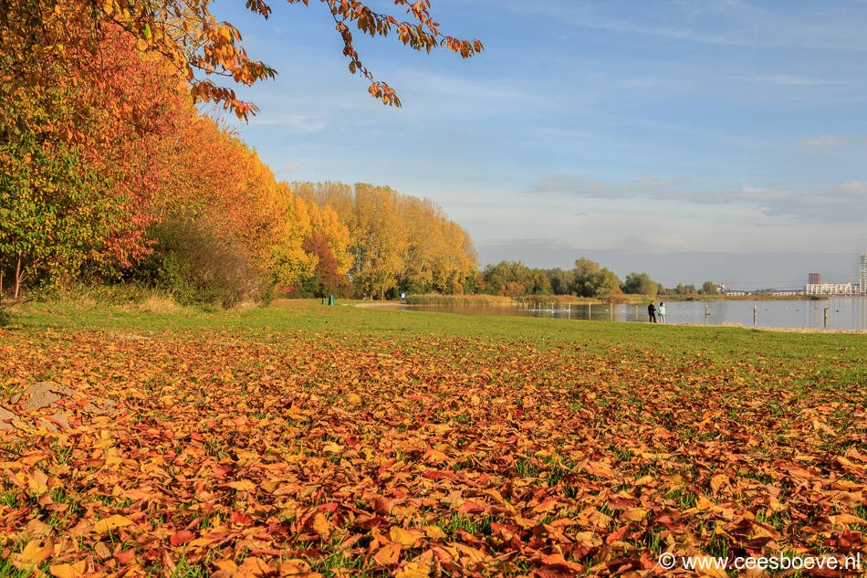 Herfstbeelden Zevenhuizerplas, Nesselande | 30 oktober 2016