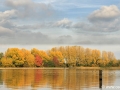 Herfstbeelden Zevenhuizerplas, Nesselande | 30 oktober 2016