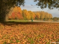 Herfstbeelden Zevenhuizerplas, Nesselande | 30 oktober 2016