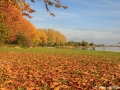 Herfstbeelden Zevenhuizerplas, Nesselande | 30 oktober 2016