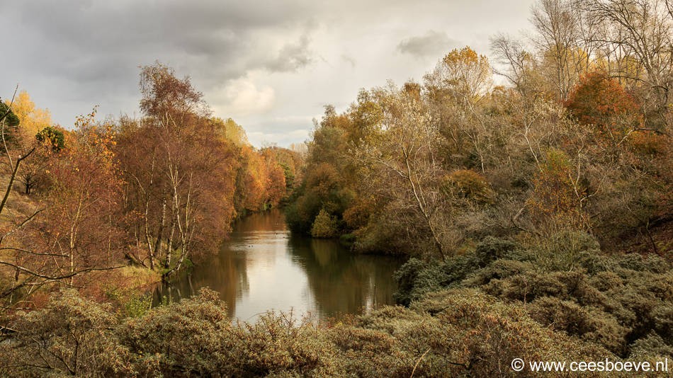 Herfst | Amsterdamse Waterleidingduinen, 3 november 2016
