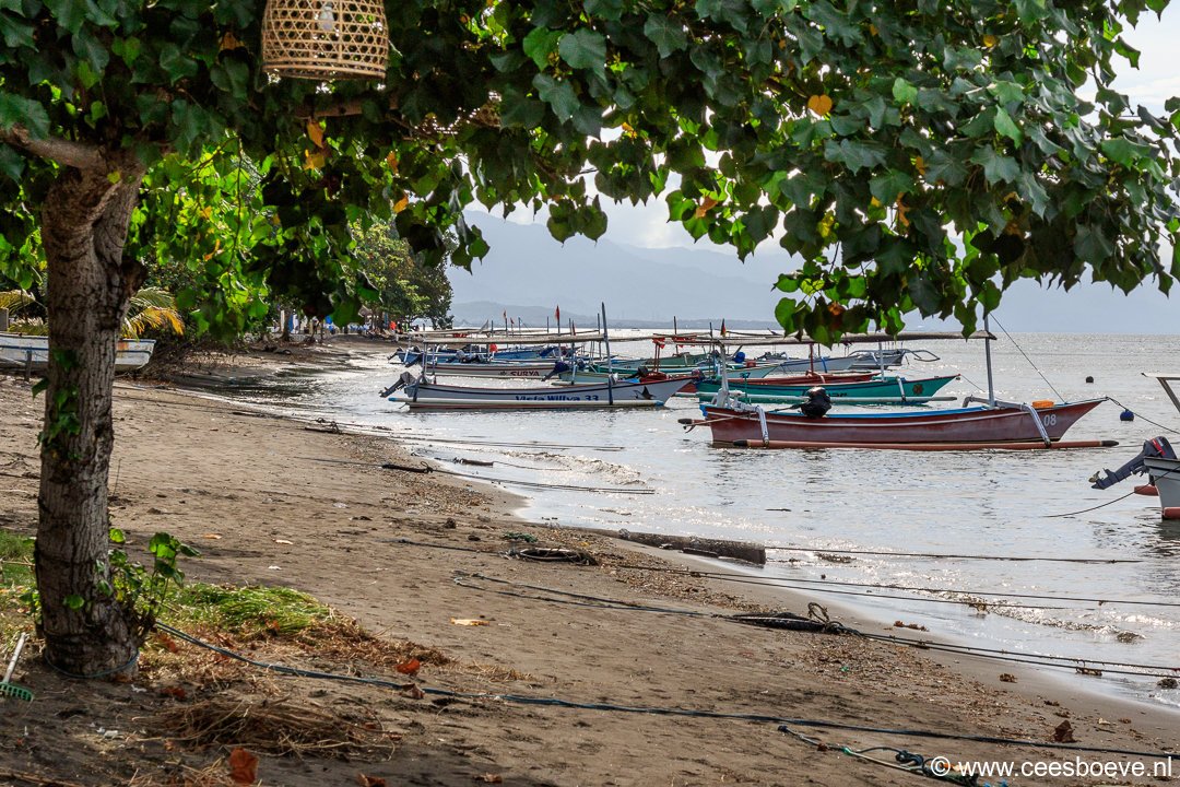 Lovina | Bali, 26 december 2016