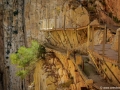 Caminito del rey | Andalusië - Spanje, 16 juni 2017