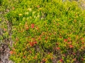 Wandelen in het Robberg Nature Reserve | Robberg Nature Reserve, Zuid-Afrika, 25 december 2018