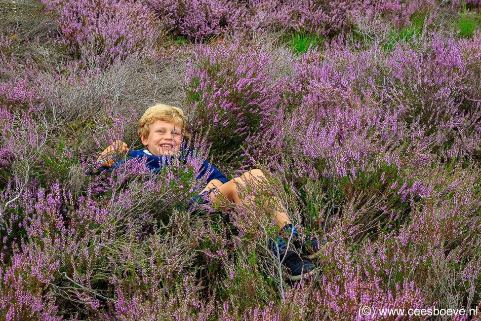 20190817_DrunenseDuinen_2210