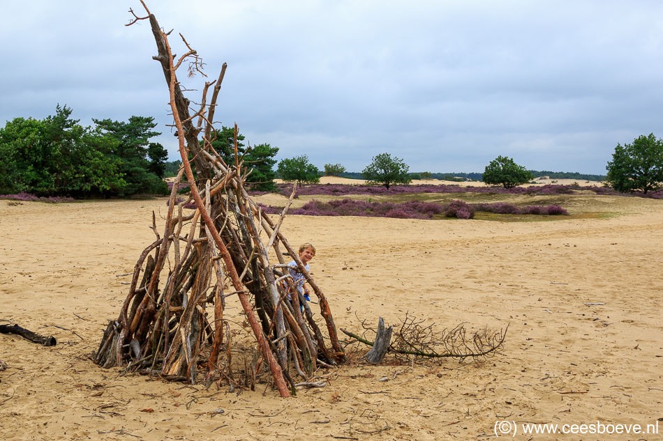 20190817_DrunenseDuinen_2216