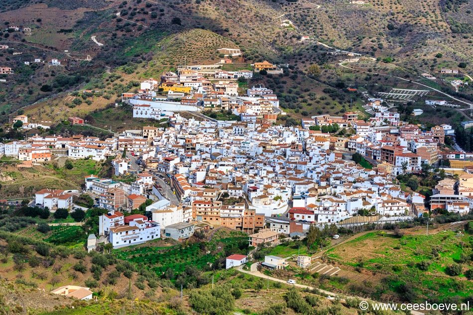 Arenas, 5 januari 2020