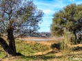 Stuwmeer van La Viñuela | Spanje, 13 januari 2020.