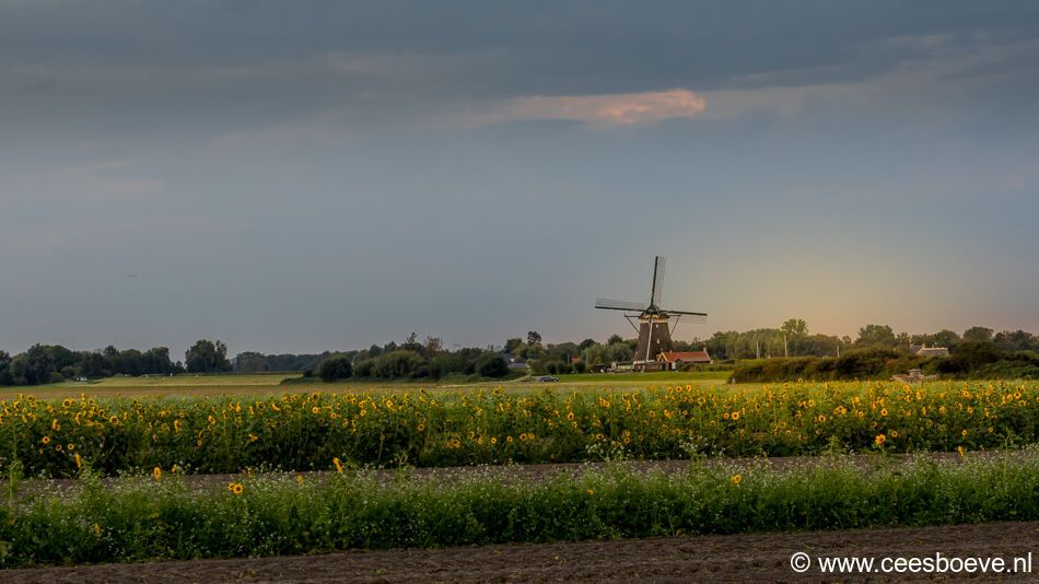 Zonsondergang molenviergang | Zevenhuizen, 9 september 2021