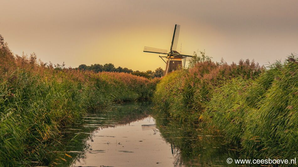 Molonsondergang molenviergang | Zevenhuizen, 9 september 2021