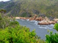 Wandelen in het Knysna | Knysna, Zuid-Afrika, 26 december 2018