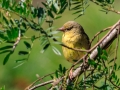 Tenikwa Wildlife Centre, Zuid-Afrika, 28 december 2018