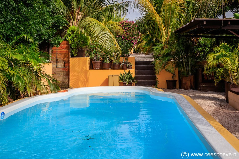 Jan Kok Lodges, Curacau, 9 december 2017