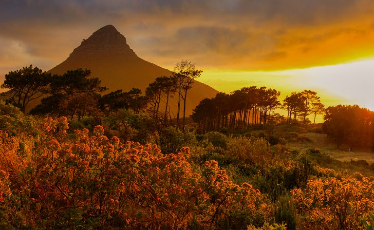 Zonsondergang vanaf Signal Hill (Kaapstad)
